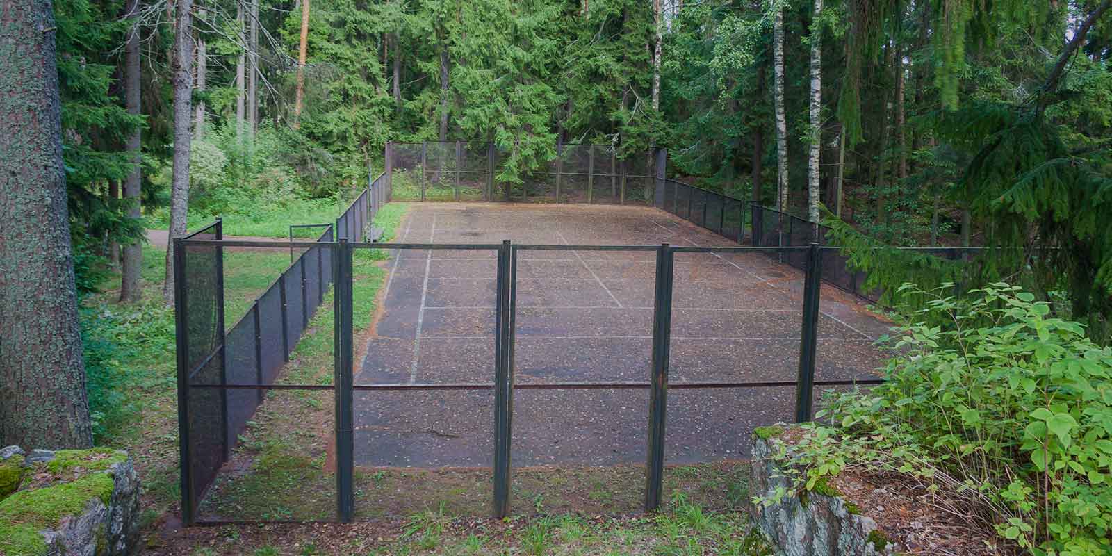 How to repair your damaged and neglected tennis court. 